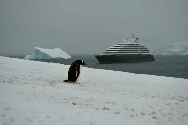 Peut-on trouver une croisière offrant des randonnées guidées pour découvrir les lacs glaciaires?